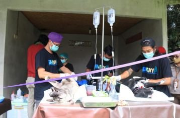 Bali Dicanangkan Segera Bebas Rabies