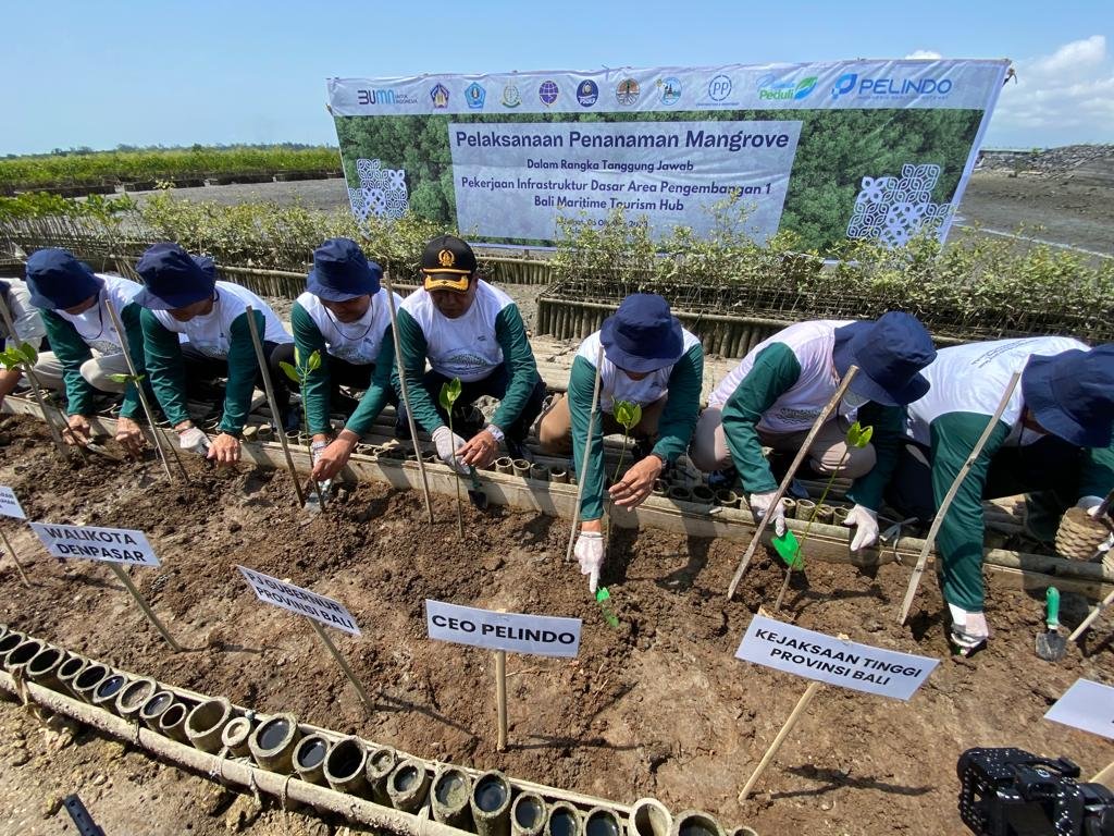 Tanam 6.300 Bibit Mangrove Pelindo Diharapkan Bantu Daerah Lain di Bali