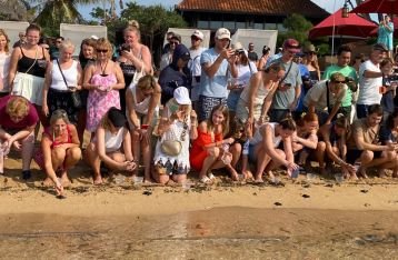 Puluhan Wisman Lepas Tukik di Pantai Area Puri Santrian Resort