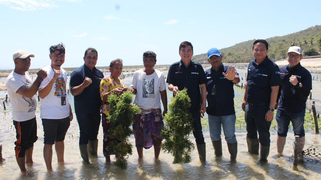 Usaha Rumput Laut Nusa Penida Dapatkan Bantuan Sarpras Dari BRI Regional Office Denpasar