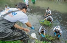 HUT ke-128, BRI Regional Denpasar Bersihkan Sungai dan Tanam Pohon