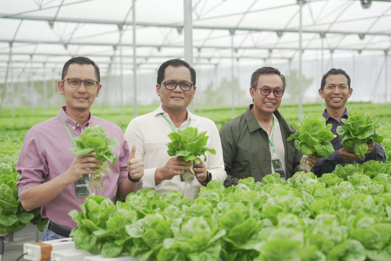 Dorong Pelaku Usaha Sektor Pertanian, BRI  Dukung Plaga Farm