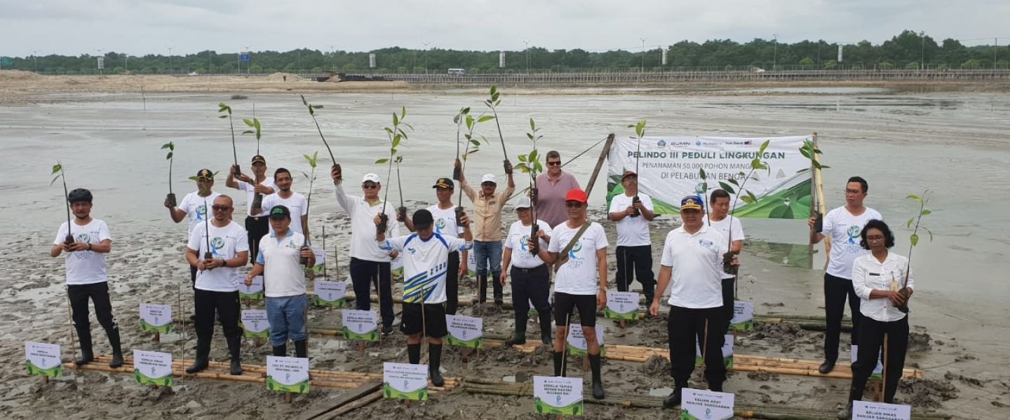 Target 'Recovery' 17,5 Hektare,  Pelindo III Tanam 50.000 Bibit Bakau di Benoa