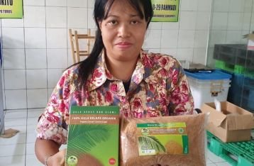 Potensi Gula Semut Besar, BI Siapkan Skema Bagi Petani di Bali Untuk Ekspor