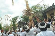 Tradisi Mesuryak di Bali saat Kuningan