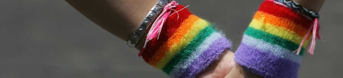 Dilarang Agama dan Adat, MMDP Selidiki Pernikahan Sesama Pria di Ubud