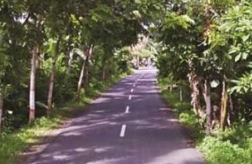 Tegalan Jadi Warung Patok di Sibang Dijaga Preman, Petani Takut?