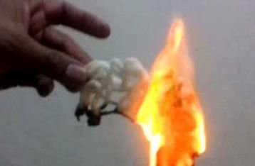 Kerupuk Dicurigai Mengandung Plastik Beredar di Bali, Ini Jika Dibakar