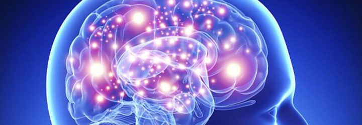 Kapasitas Memori Otak Manusia Ternyata Setara 1 Juta GB