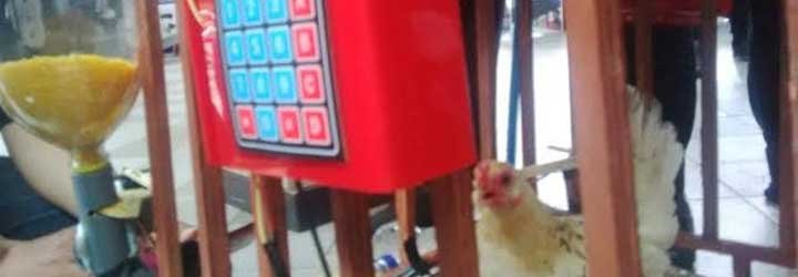 Petek, Aplikasi Kandang Ayam Pintar Karya Arek Suroboyo