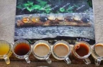 Cara Unik Melestarikan Budaya Kopi Luwak Tradisional