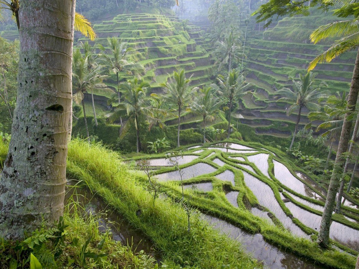 Bali Destinasi Terbaik di Asia, Tapi Dianggap Murah