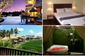 5 Hotel di Ubud, Bali dengan Pemandangan Indah, Harga di Bawah Rp 500 Ribu