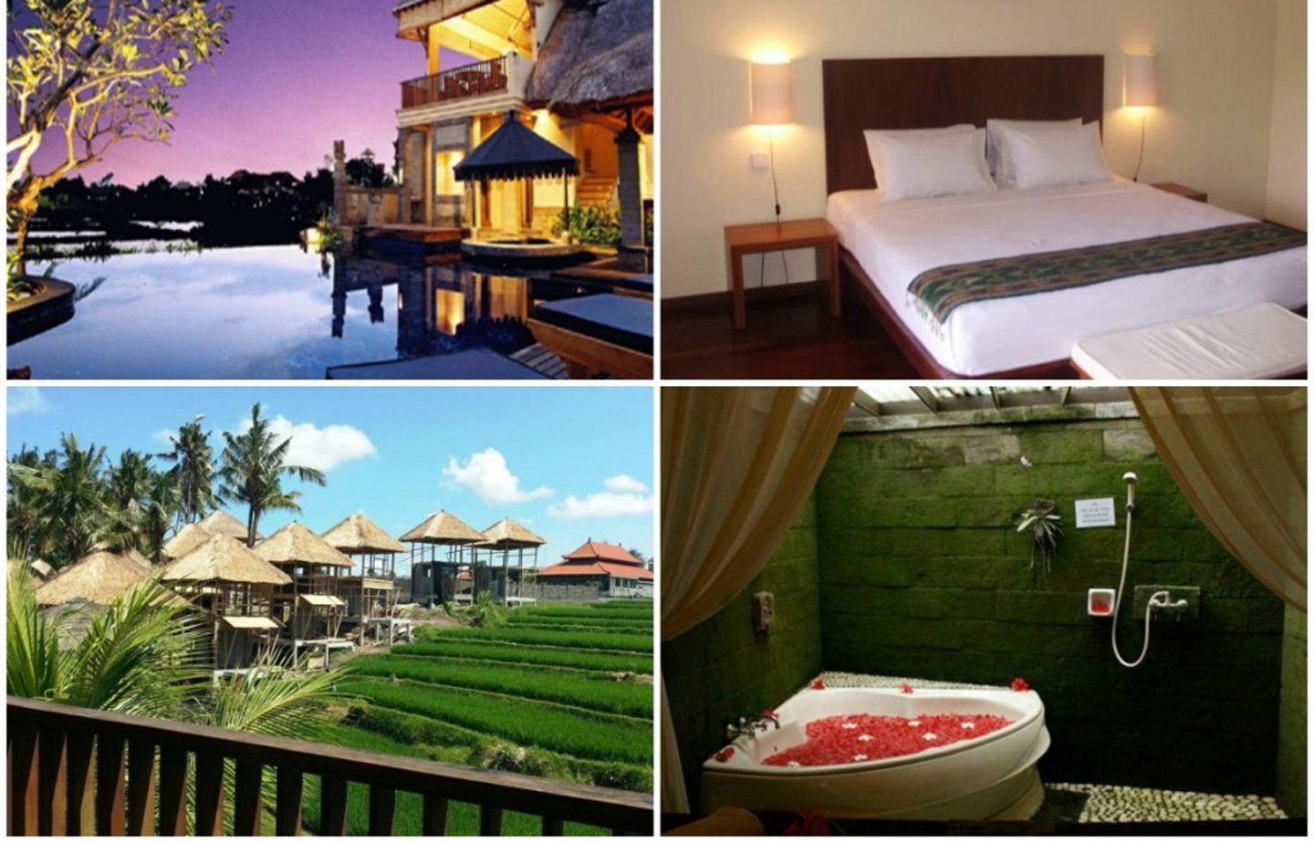5 Hotel di Ubud, Bali dengan Pemandangan Indah, Harga di Bawah Rp 500 Ribu