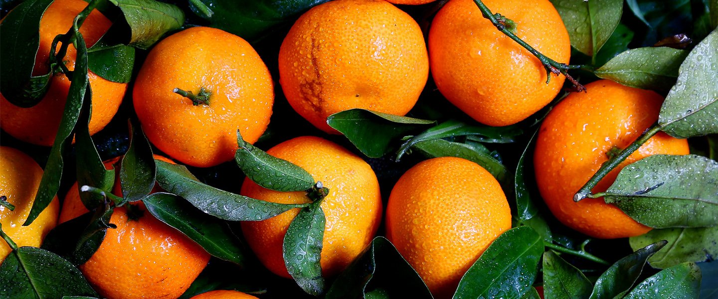 Harga jeruk alami penurunan hingga 50 persen